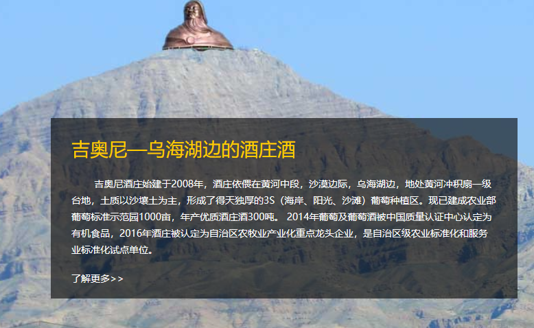 内蒙古吉奥尼葡萄酒业有限责任公司.png
